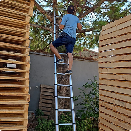 TELESCOPIC-LADDER