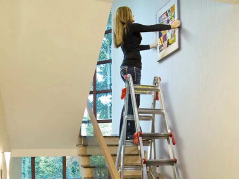 ladder 24