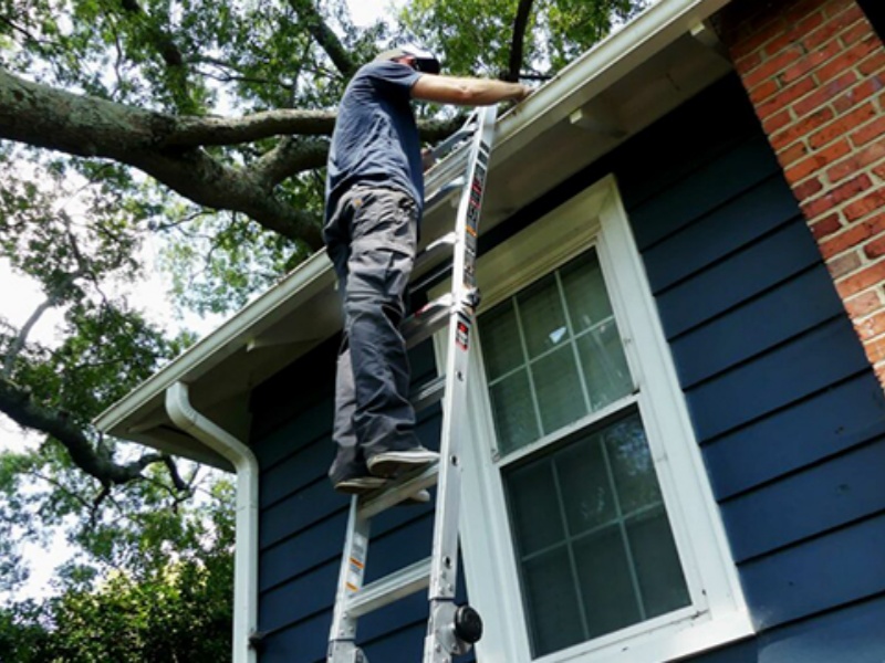 Load-bearing Capacity And Structural Analysis of Ladders