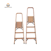 Height Handrail Home Ladder